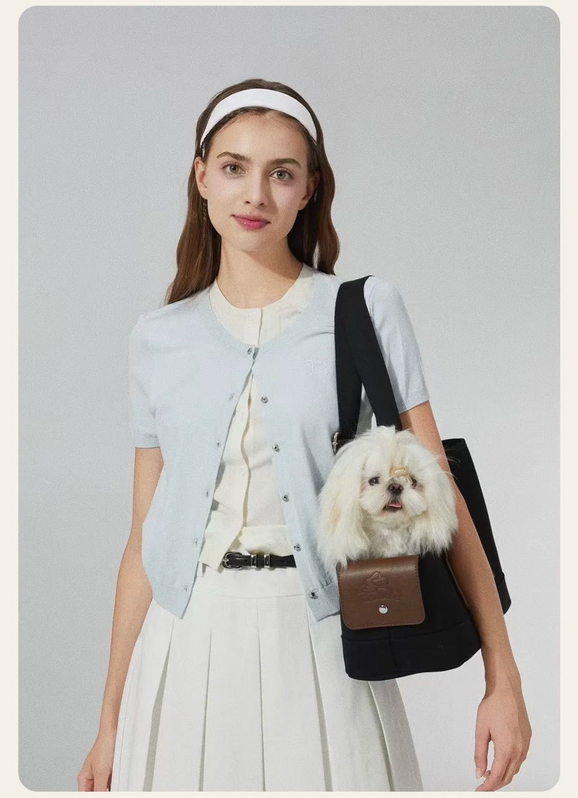 PawsCube Luxury Old Money Pet Tote - Breathable Vintage Carrier for Cats and Dogs